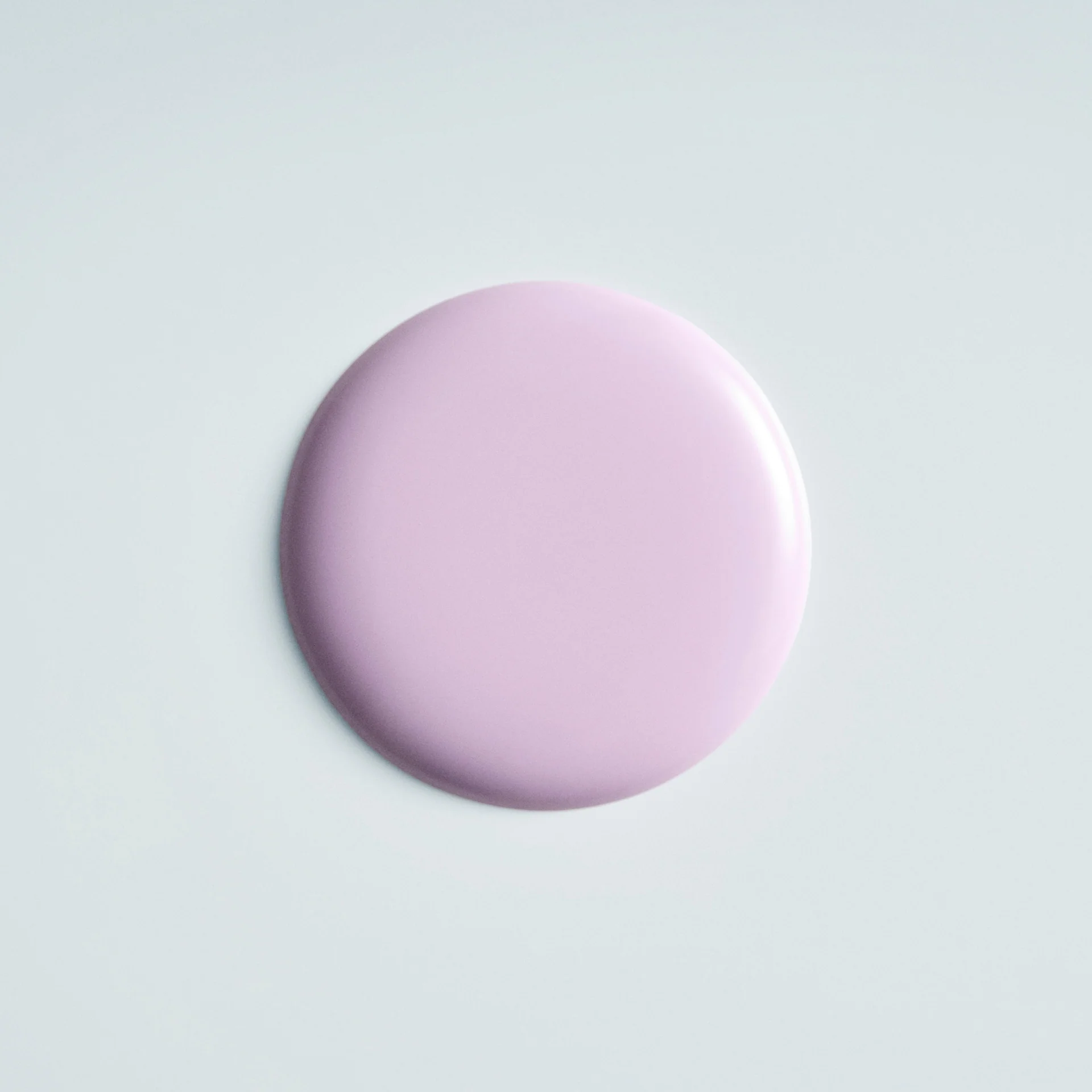 Varnish - Image 8