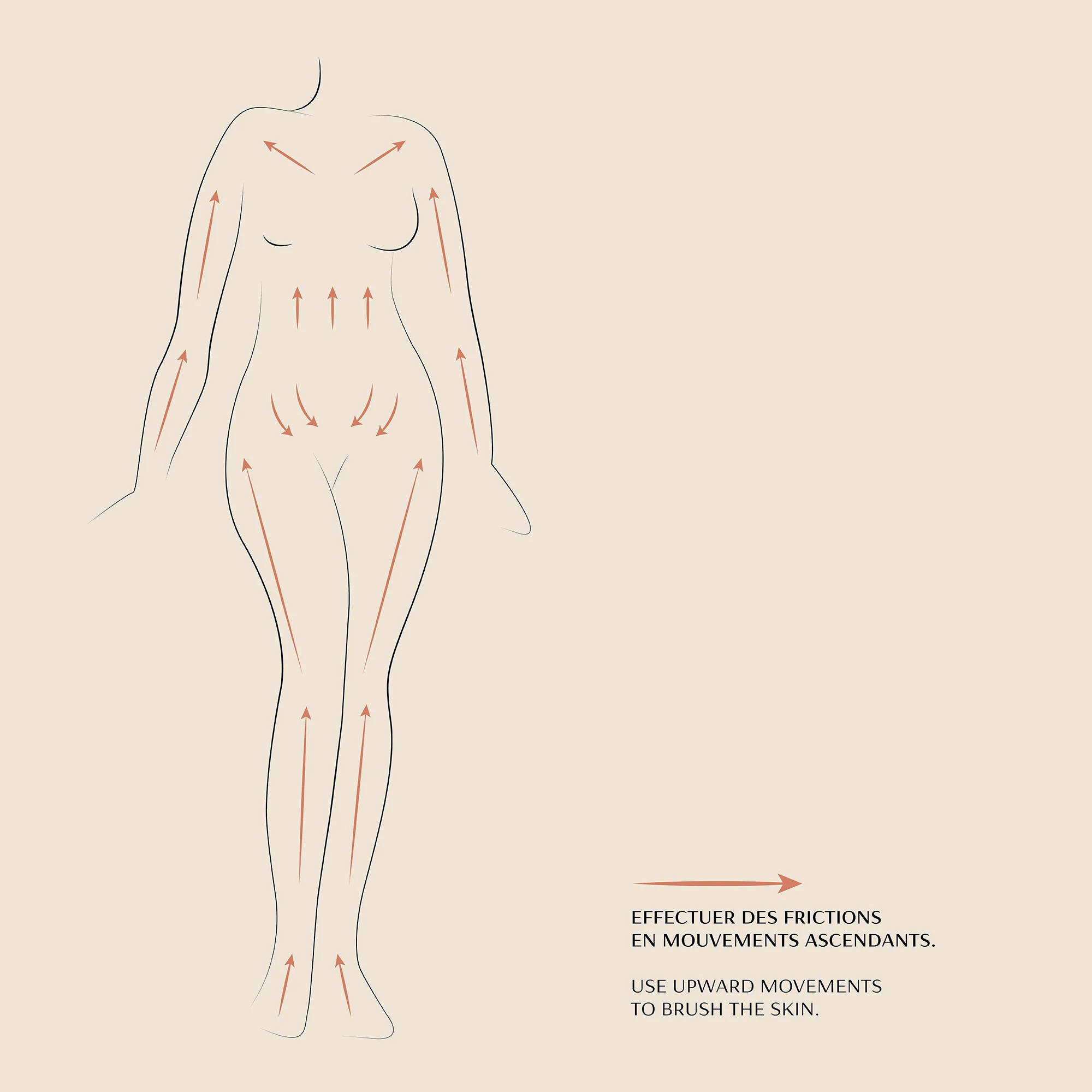 Body Drying Brush - Image 6