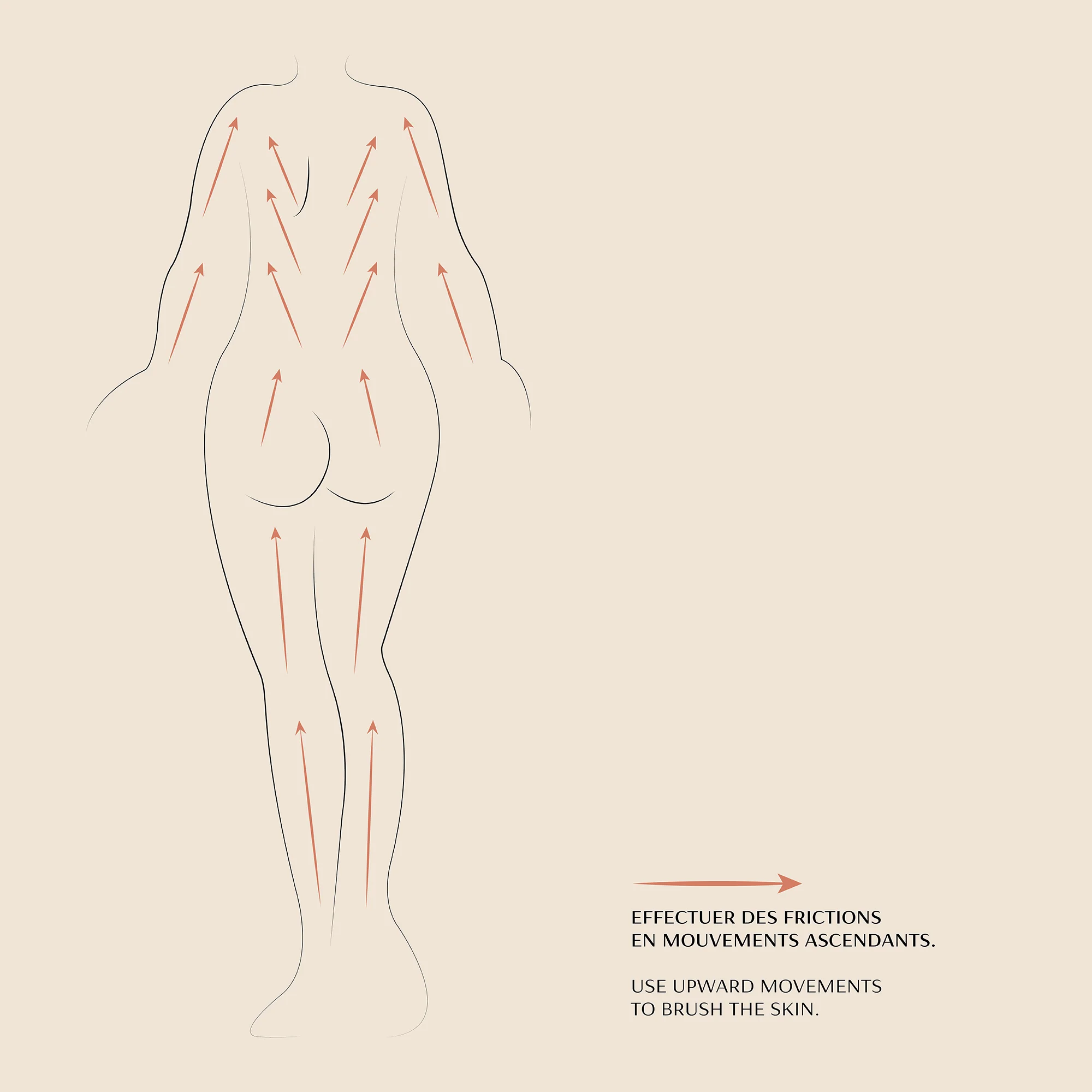 Body Drying Brush - Image 7