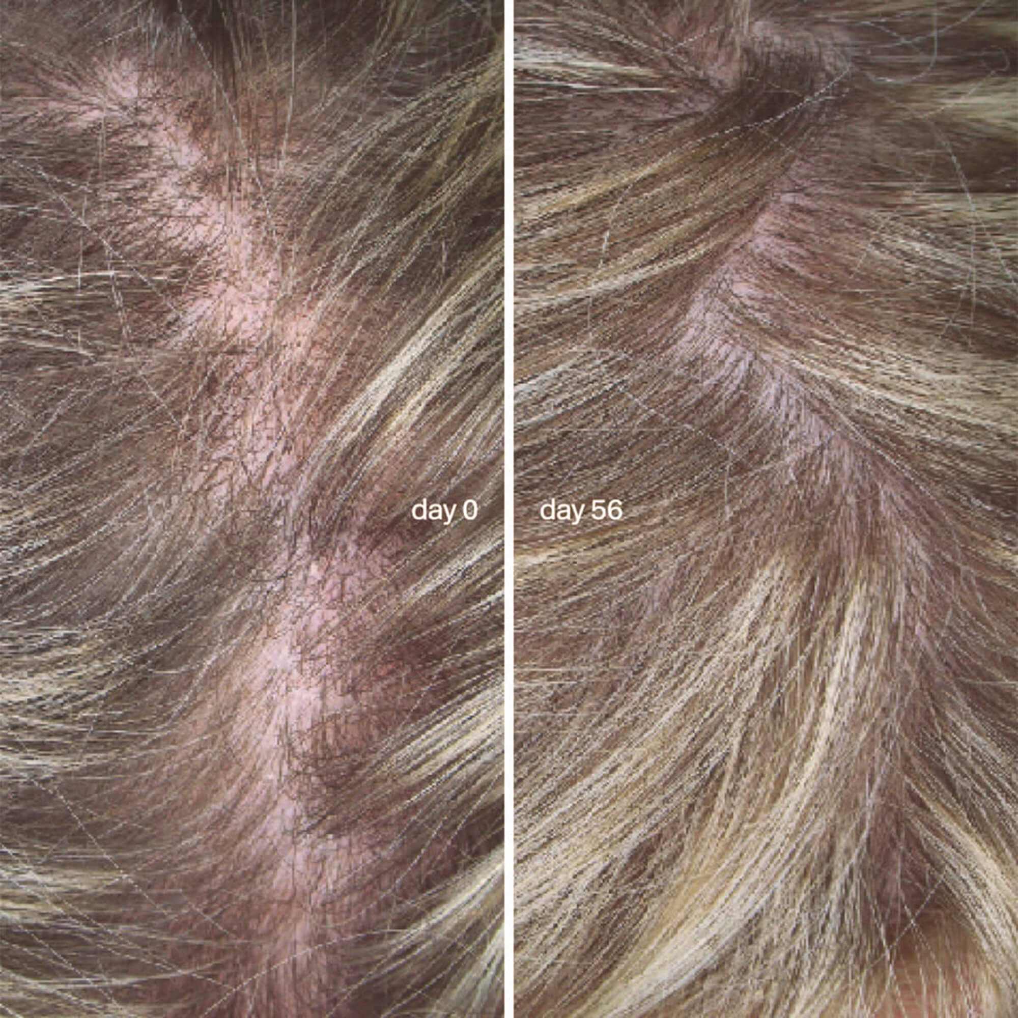 L'Essentiel Cheveux - Image 4