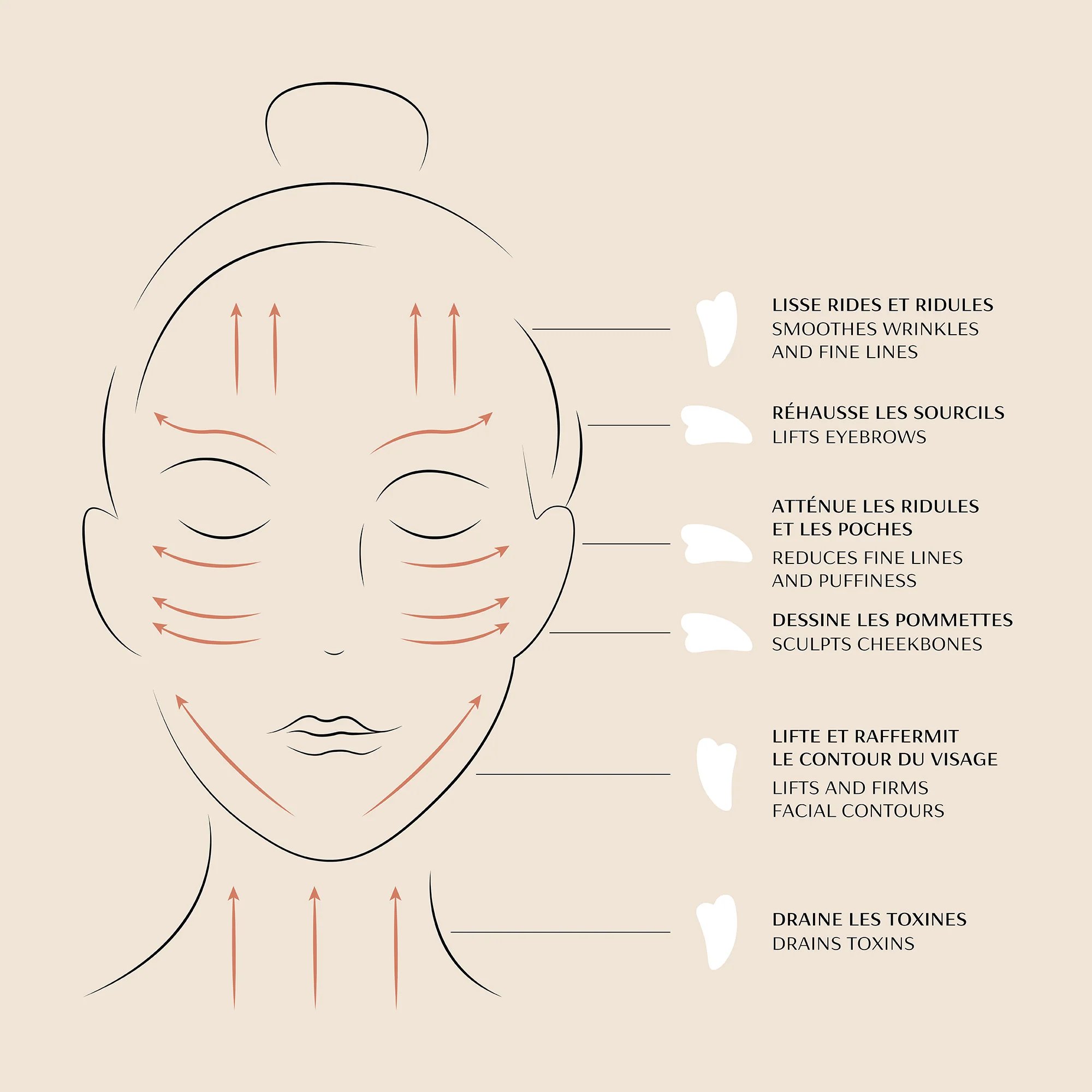 Gua Sha Face - Image 6