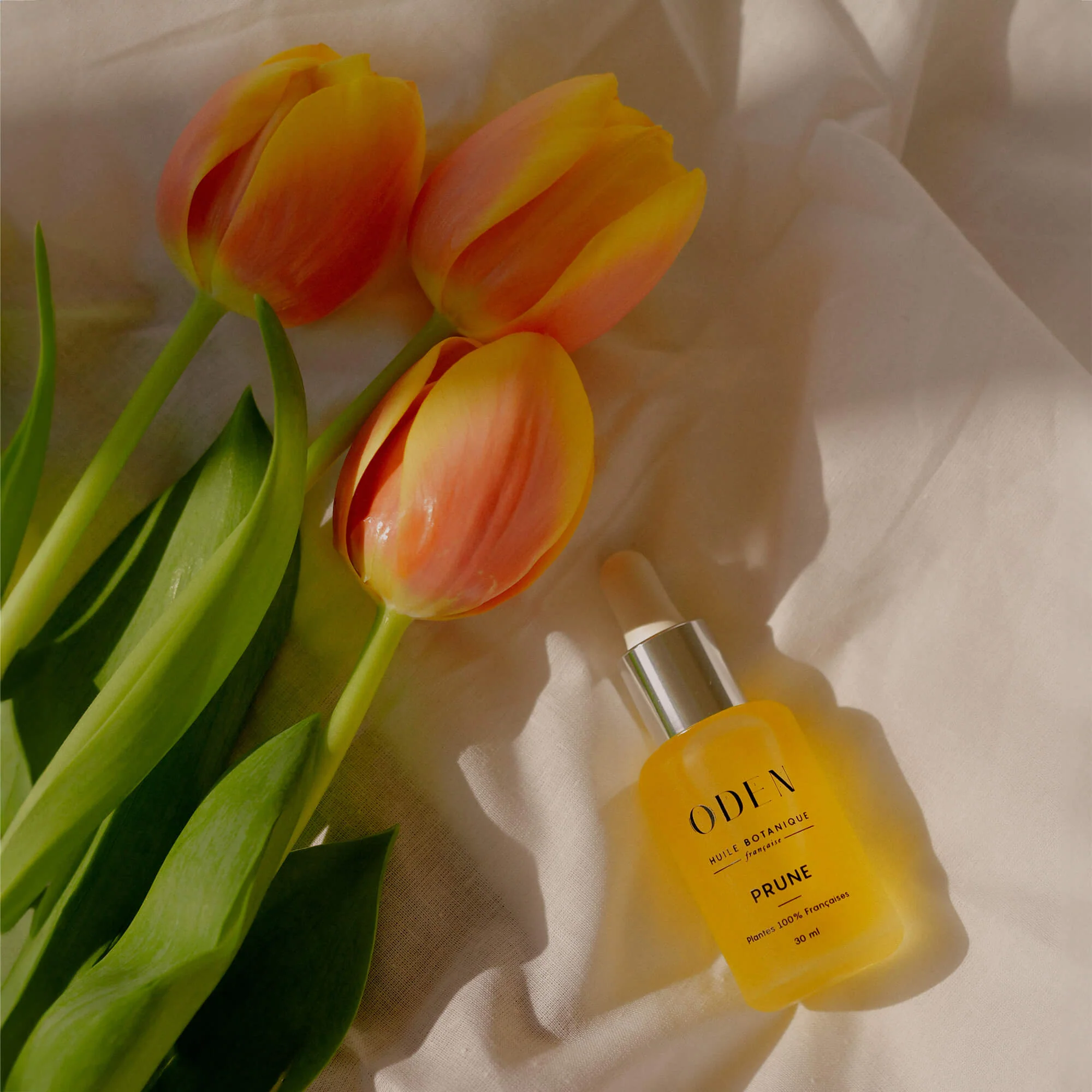 Botanical Plum Oil Dry Skin - Image 2