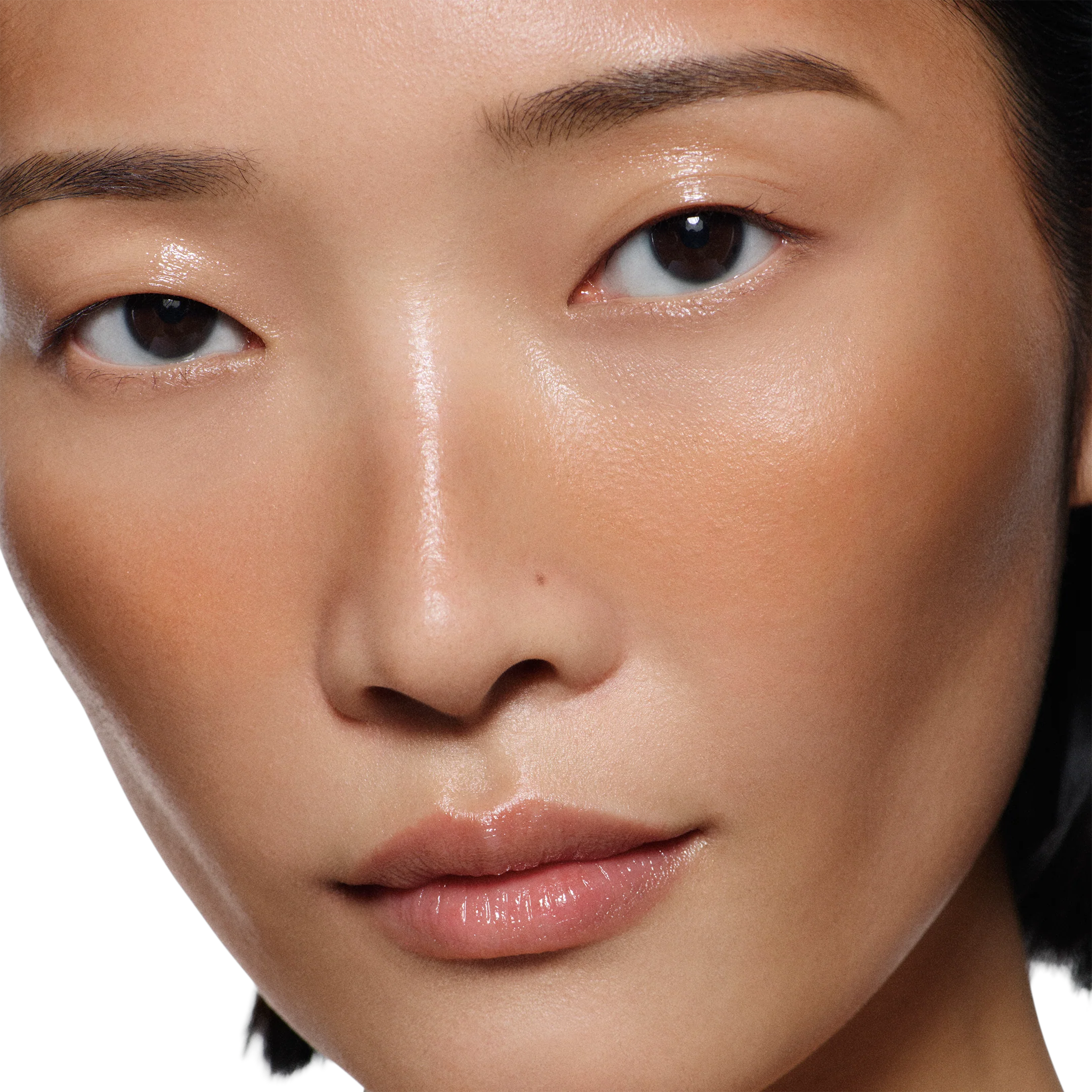 Bronze Water Tint - Image 6